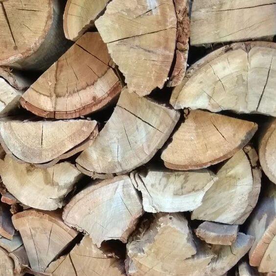 Bluegum (Kaggelhout)